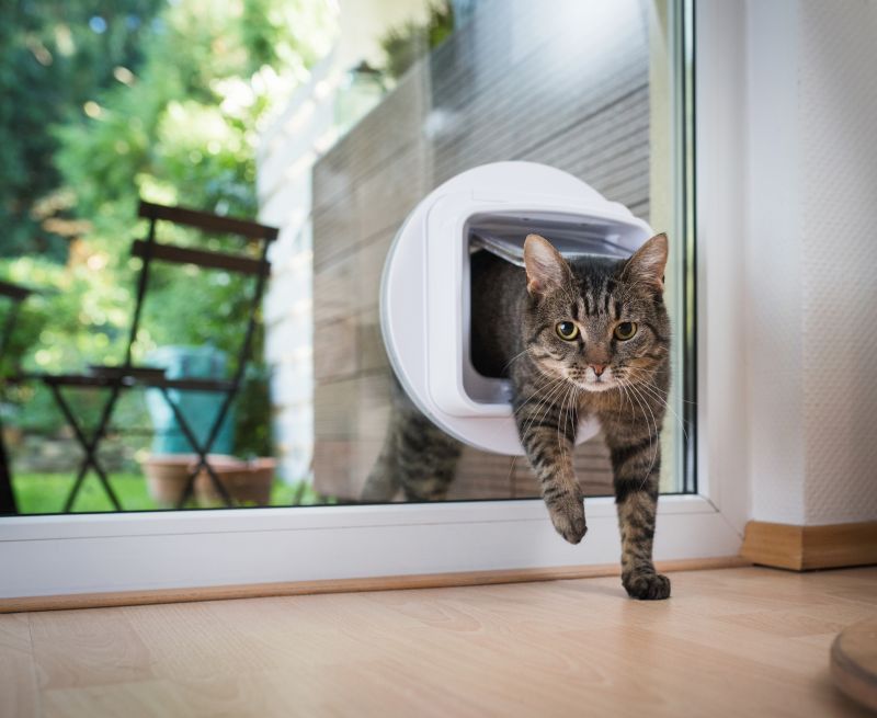 Cat Door Installation detail